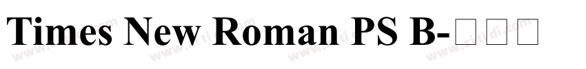 Times New Roman PS B字体转换
